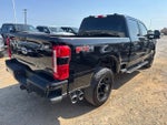 2025 Ford F-250SD XL